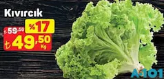 KIVIRCIK KIVIRCIK